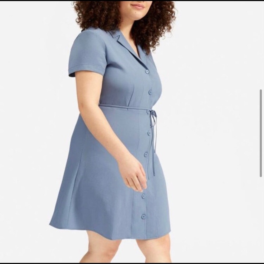 Everlane Japanese Goweave Collared Dress - Blue Size 4